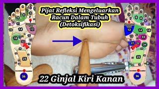 Download lagu CARA MENGELUARKAN RACUN DALAM TUBUH | DETOKSIFIKASI TUBUH mp3 Download lagu CARA MENGELUARKAN RACUN DALAM TUBUH | DETOKSIFIKASI TUBUH mp3