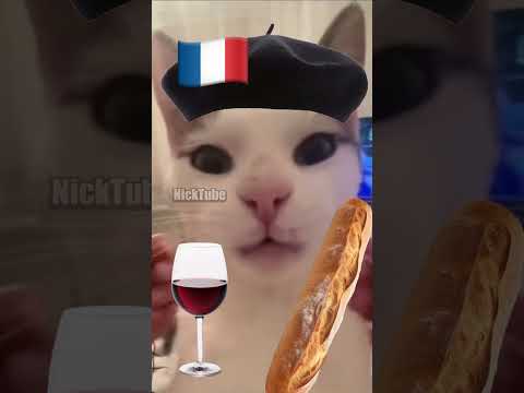 French Cat vs. Italian Cat 🇫🇷🇮🇹