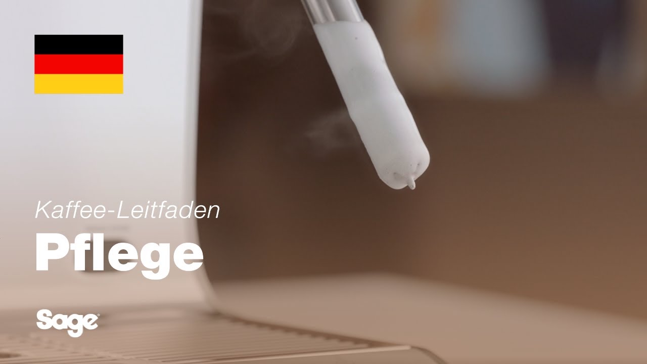 Reinigen und Durchspülen des Dampfstabs