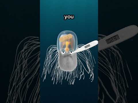 Animals With Depressing Lives...