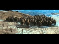 Official Trailer 3
