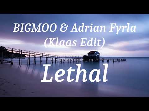 BIGMOO & Adrian Fyrla (Klaas Edit) - Lethal (lyrics)