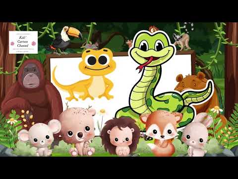 The Story of Lizard and Snake Keep Sunday Special Honor God Every Week