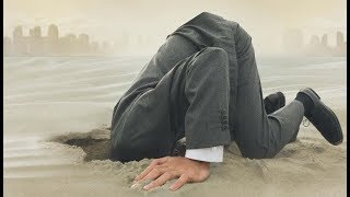 Beau Dommage - Tout Va Bien 😭(cover) collab avec Roland Keunings