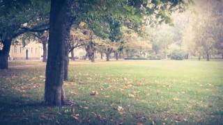 Henrik Skanfors - October