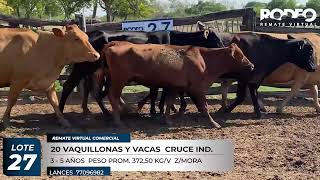 LOTE 27