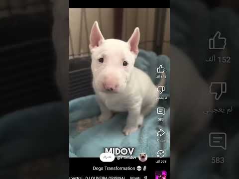 ٣٠ يناير ٢٠٢٥