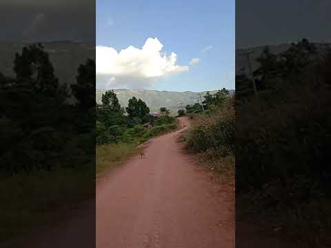 Nov yog naab thes os