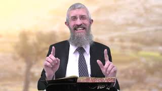 מסכת מנחות דף צד - 8 דקות של לומדות ועמקות בדרך הלימוד הישיבתית [Menachot 94]