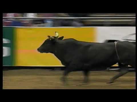 Moody Blues bucks Ronny Kitchens - 97 PBR St  Louis