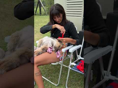 El paraíso del #motorhome en Villa Gral. Belgrano, Córdoba