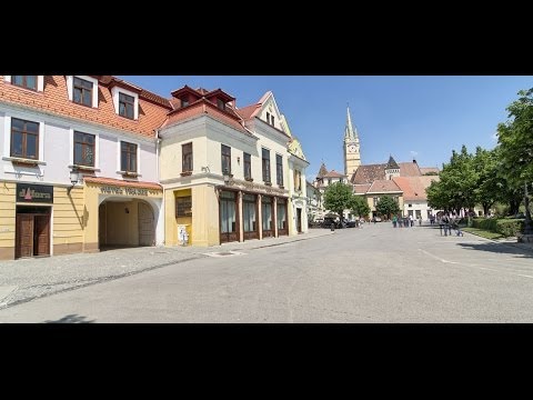 Hotel Traube Medias (www.info-hoteluri.ro)