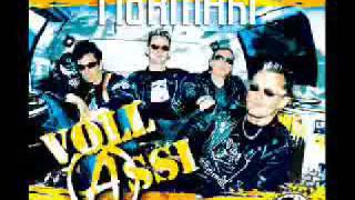 NoRMAhl - Ding Dong Punk Rock Song