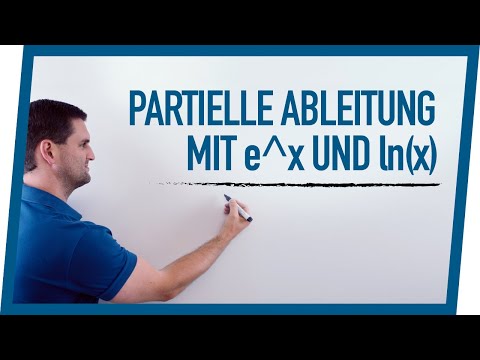 Partial derivative with e^x and ln(x) | Math by Daniel Jung