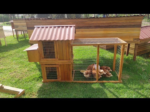 Vídeo relacionado con para pollos, gallinero de metal para exteriores, plegable, largo, instalación rápida, flexible, con jaula de bolas, túneles exteriores para patos, gansos, conejos, granjas, mascotas, pollitos
