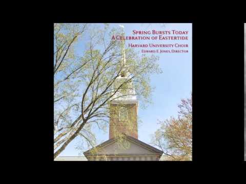 René Clausen: Set Me as a Seal