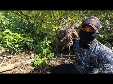 EP830-P1 - Pandudukot ng Kuray | Occ. Mindoro