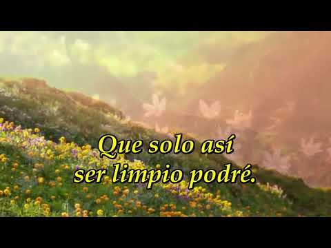 254 Anhelo ser limpio