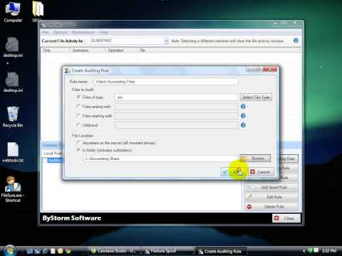 Make a Sarbanes-Oxley Auditor happy with FileSure