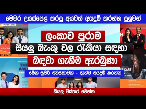 බැංකු රැකියා සඳහා බඳවා ගැනීම ඇරබුණා | දැන්ම අයදුම් කරන්න | Banking Internship & Trainee Jobs 2026