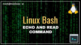 How to Use Echo and Read Command in Bash