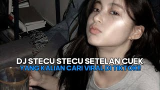 Download lagu DJ STECU STECU SETELAN CUEK BARU MALU SLOW || VIRAL TIKTOK FULL SONG mp3