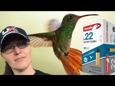 download lagu mp3 mp4 Aguila Colibri, download lagu Aguila Colibri gratis, unduh video klip Aguila Colibri