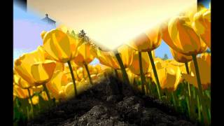 grupo palomo,en la pasion no hay palabras.