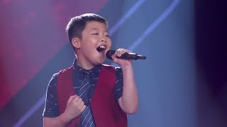 amazing Jeffrey Li performby *tell me why* blind audition from canada