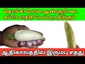 இவ்வளவு நீளமா என்று ஆச்சரியப்படுவீங�