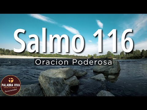 Salmo 116  contra la ansiedad + oración | Salmos para confiar en Dios | la Biblia