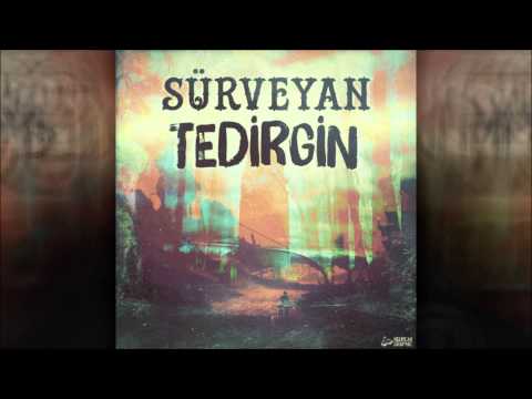 Video thumbnail for Tedirgin
