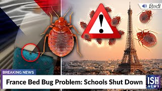 France Bed Bug Problem: Schools Shut Down
