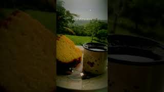 Download lagu STORY WA TERBARU 2023 || MOTIVASI KATA || FILOSOFI KOPI #katakata #quotes #motivasi #storywa #status mp3