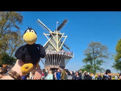 Keukenhof Lisse Impressionen 2023