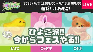 【スプラ3】ひよこ派！今からフェスやる！！【スプラトゥーン3実況】
