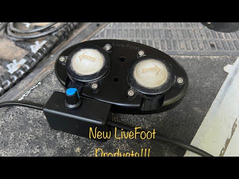 New Livefoot Products From DD26