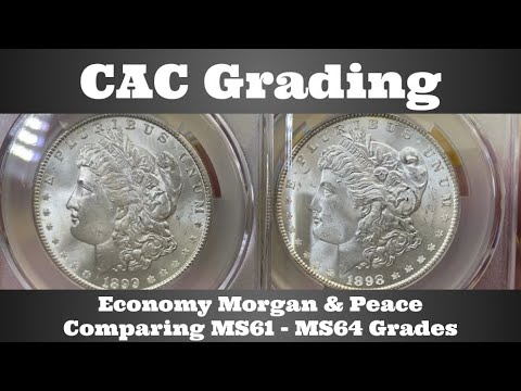 CAC Grading (CACG) Open Box - Lots of Economy Morgan & Peace Dollars - Comparing MS61-MS64 Grades
