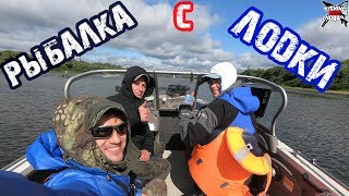 Ссылка