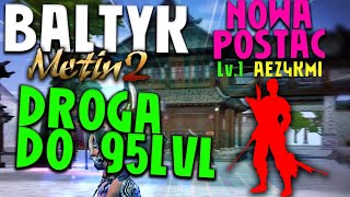 Miniaturka - Metin2 PL BAŁTYK #8 - NINJA DO 95 LVL / POKAZ EQ / FART W MIXOWANIU