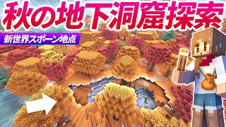 まだらな森の怪しい地下洞窟を探索！秋世界の怪しいスポーン地下に潜入【マイクラ実況 マインクラフト】4