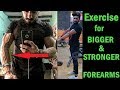 Exercise for BIGGER & STRONGER FOREARM | bodybuilding tips