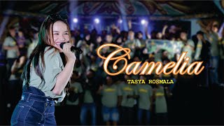 Download lagu CAMELIA - TASYA ROSMALA ( GOPO MUSIC ) //ANNIVERSARY 1 DEKADE SNC INDONESIA mp3