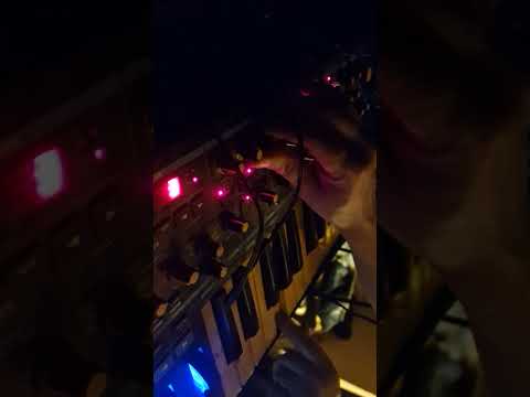 Glow in the Dark Zebra Conveyor Belt jam