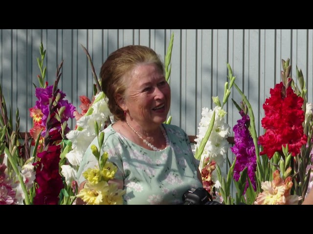 Выпуск новостей 10.09.2024