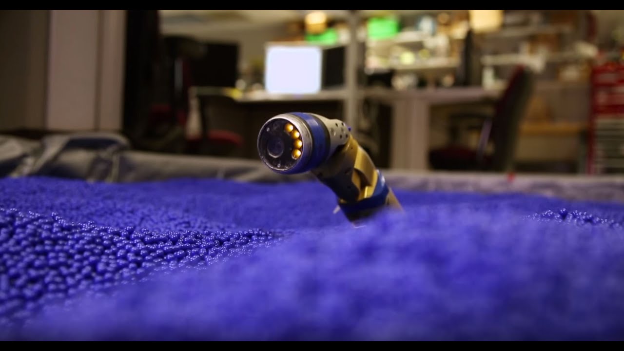 Snake Robot | The Henry Ford’s Innovation Nation
