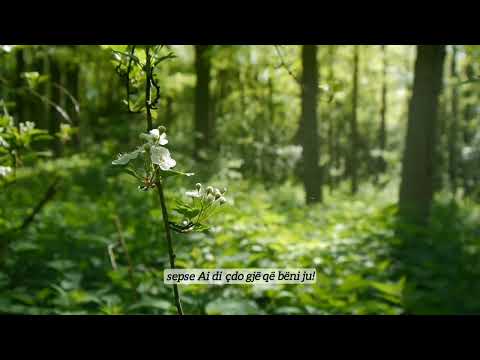 Recitim i bukur nga Hoxhë Hajrullah Musa (Allahu e mëshiroftë)