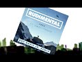 Rudimental - Free ft. Emeli Sandé (Roy Davis Jr ...