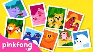 Animal Families | Animal Songs | Learn Animals | Pinkfong Animal Songs for Children