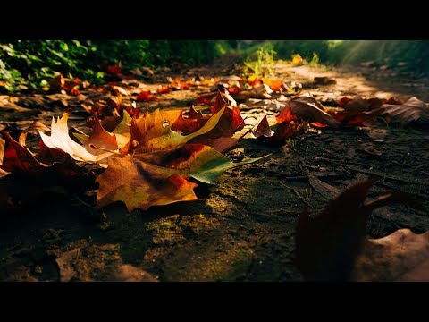 Sous Sol - Z Side (Original Mix) [2017 / Heinz] [HD]